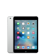 Ремонт iPad Mini 4 - iRepairIt